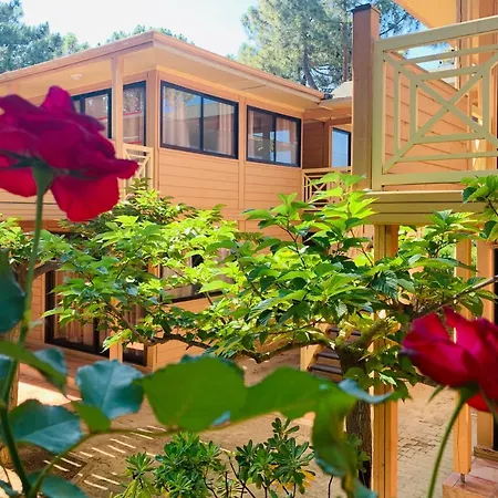 Ξενοδοχείο με διαμερίσματα Les Pins 3*