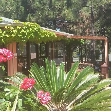 Ξενοδοχείο με διαμερίσματα Les Pins