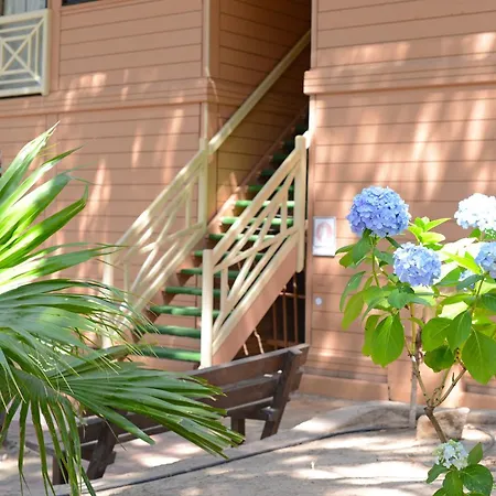 Les Pins 3* Καλβί