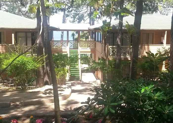 Les Pins 公寓式酒店 卡尔维