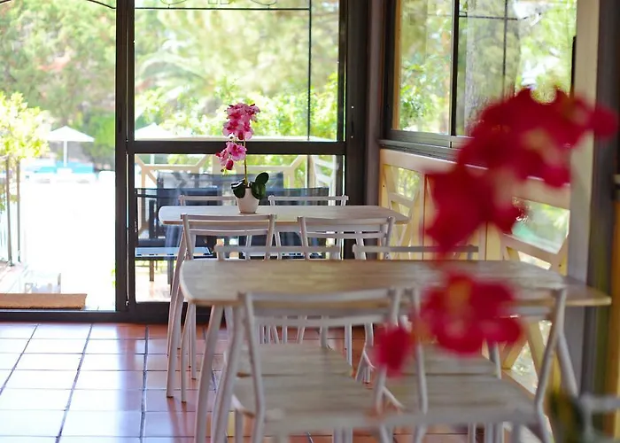 Les Pins 公寓式酒店 卡尔维