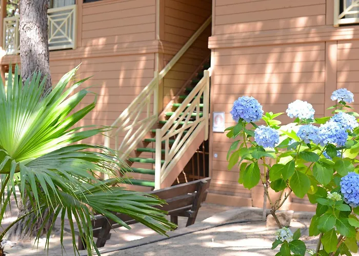 Les Pins 3* 卡尔维