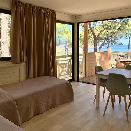 Les Pins カルヴィ