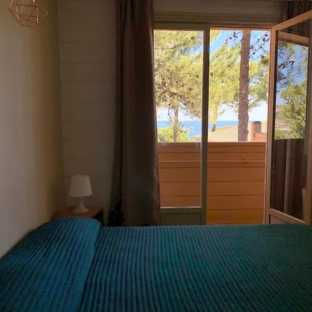 Les Pins カルヴィ