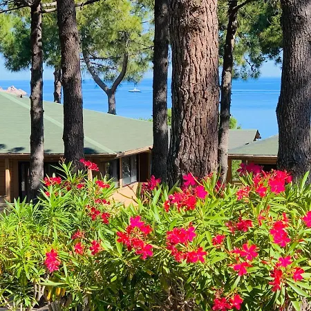 Les Pins アパートホテル カルヴィ