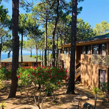 Les Pins