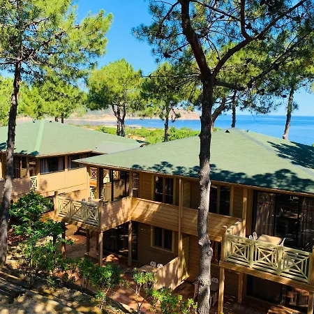 Les Pins カルヴィ