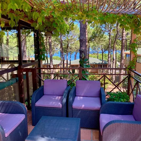 アパートホテル Les Pins 2*