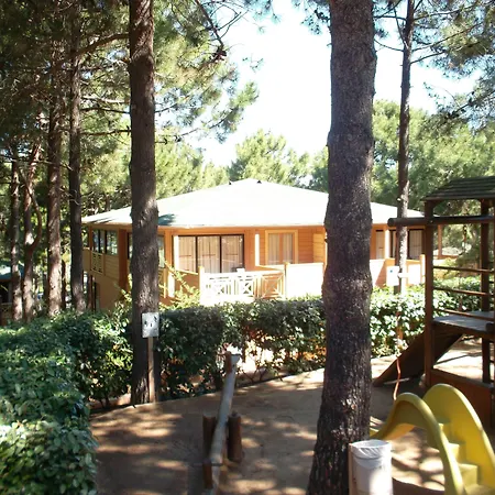 Appart hôtel Résidence Les Pins Calvi (Corsica)