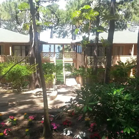 Résidence Les Pins Appart hôtel Calvi (Corsica)