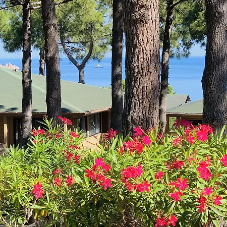 Résidence Les Pins 3*