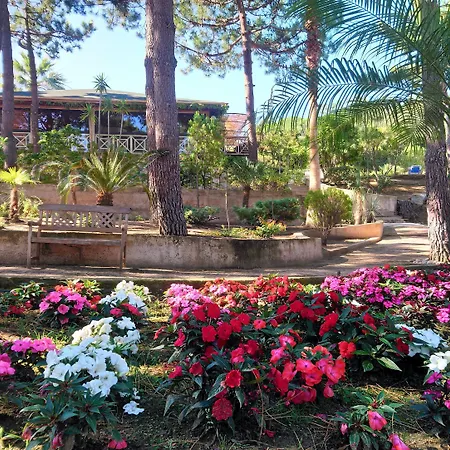 Résidence Les Pins Calvi (Corsica)