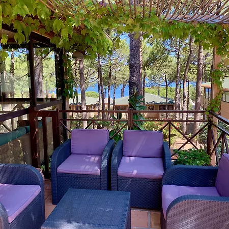 Résidence Les Pins 3* Calvi (Corsica)