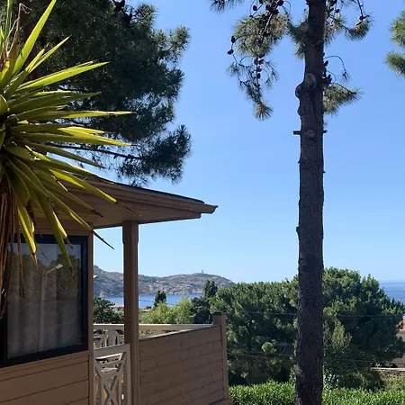 Résidence Les Pins Calvi (Corsica)