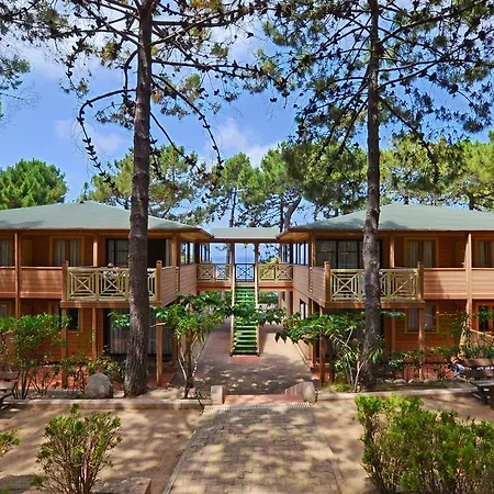 Les Pins 2*
