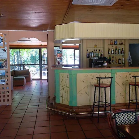 Les Pins カルヴィ