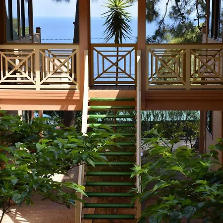 Les Pins カルヴィ