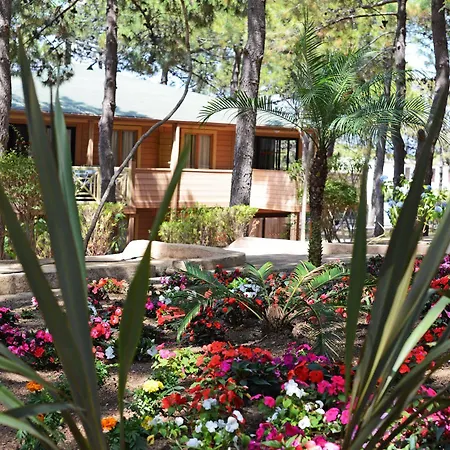 Les Pins