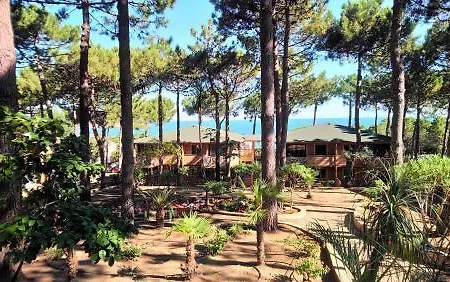 Les Pins 2*