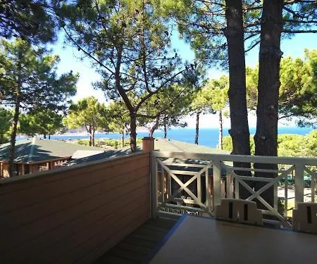 Les Pins アパートホテル カルヴィ