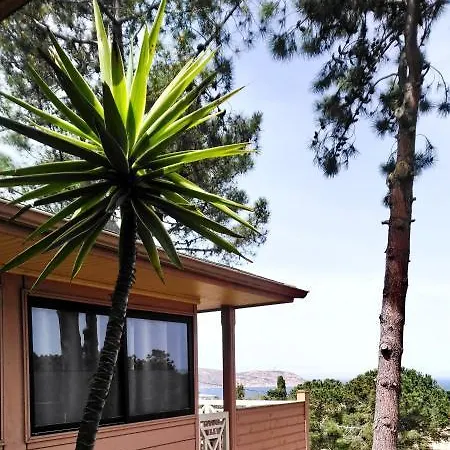 Les Pins Calvi (Corsica)