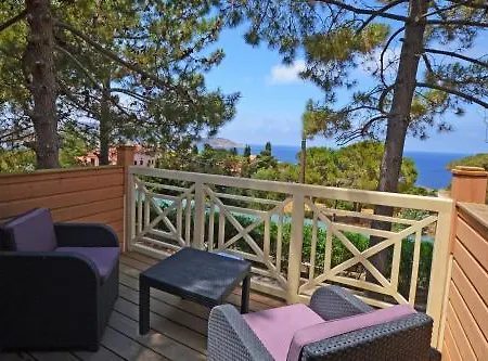 Les Pins カルヴィ
