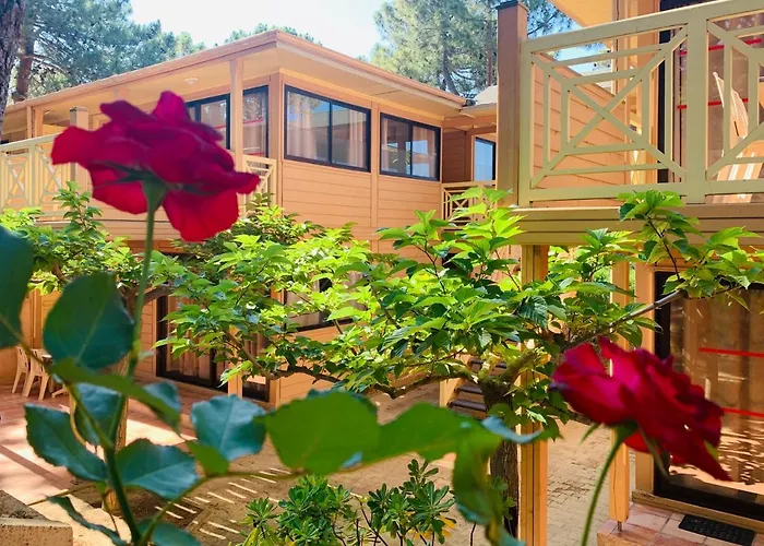 Aparthotel Les Pins 3*