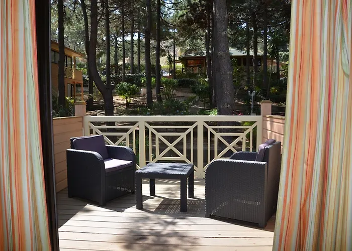 Les Pins Calvi (Corsica)